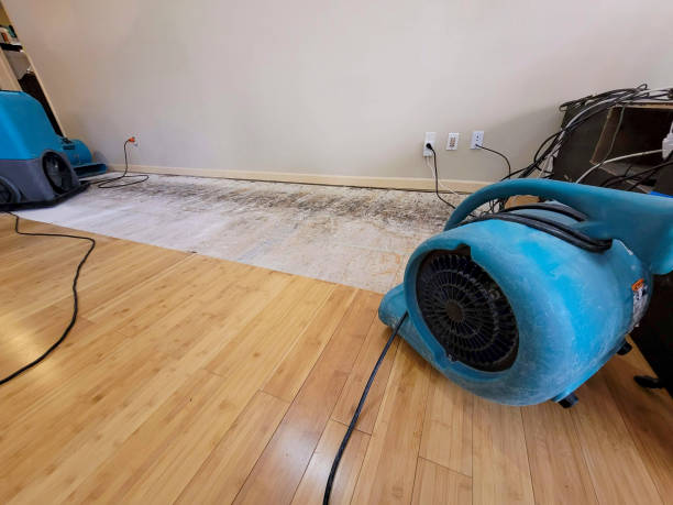 Professional Water Removal technician working in Prosper, TX